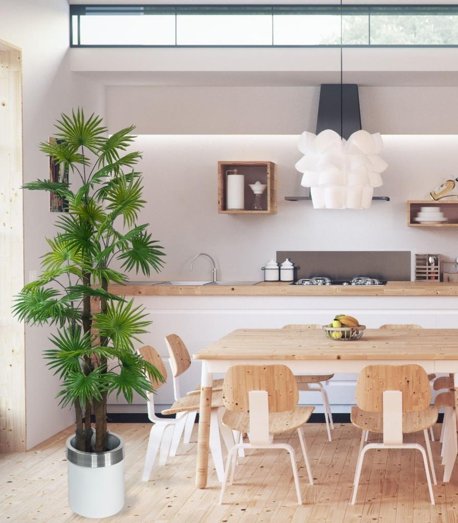 Yapay Ağaç Yelpaze Palmiye 4Katlı Fanpalm 32 Yaprak Gümüş Kemerli Beyaz Saksıda 170*65cm