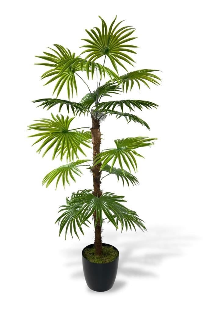 Yapay Ağaç Yelpaze Palmiye Fanpalm 16 Yaprak 115*55cm