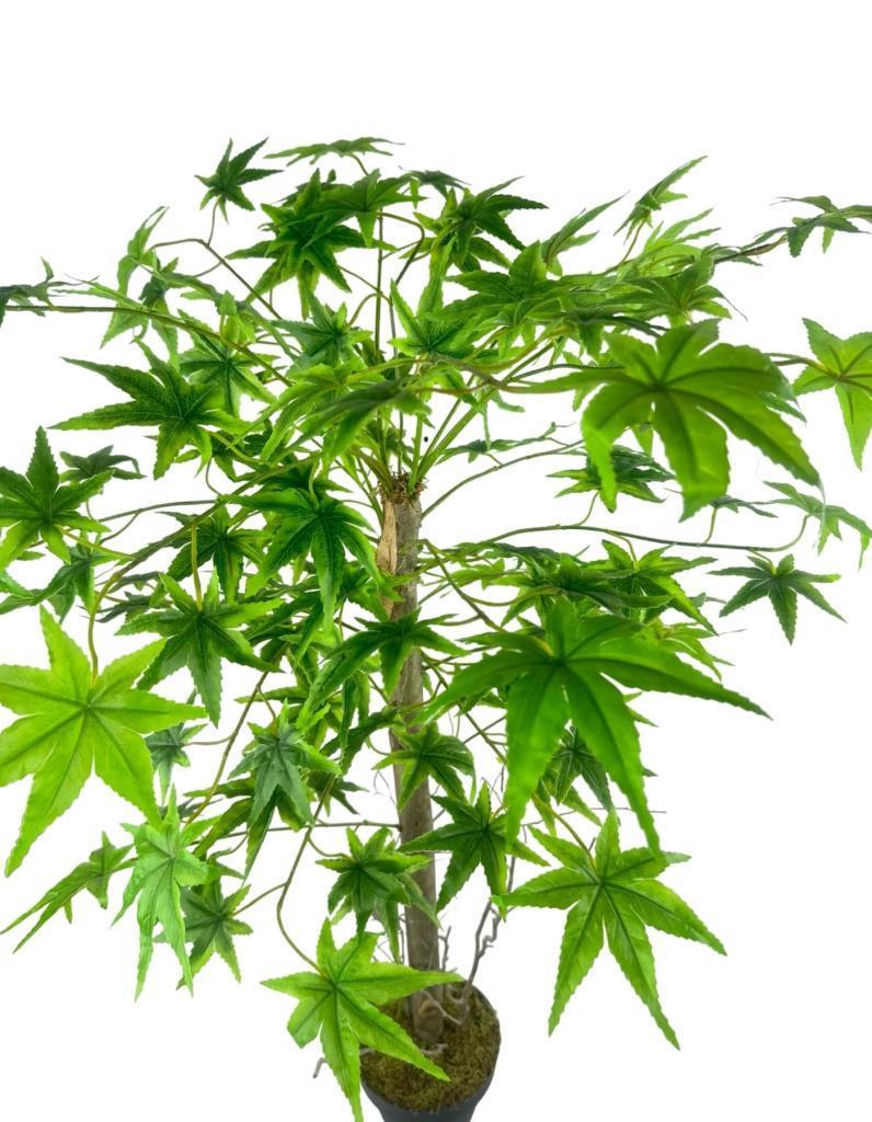 Yapay Ağaç Yeşil Japon Akçaağacı 100x70cm Siyah Plastik Saksılı