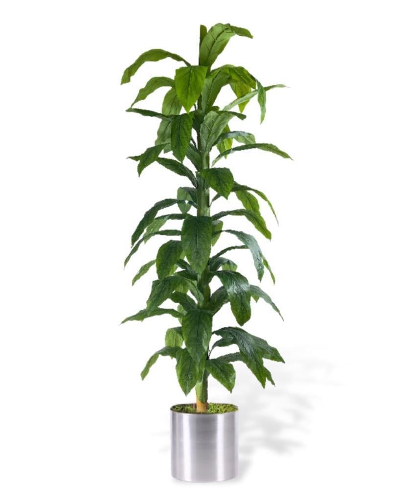 Yapay Ağaç Yukka Dracena 180*70cm Galvaniz Saksıda Salon Çiçeği Yapay Çiçek