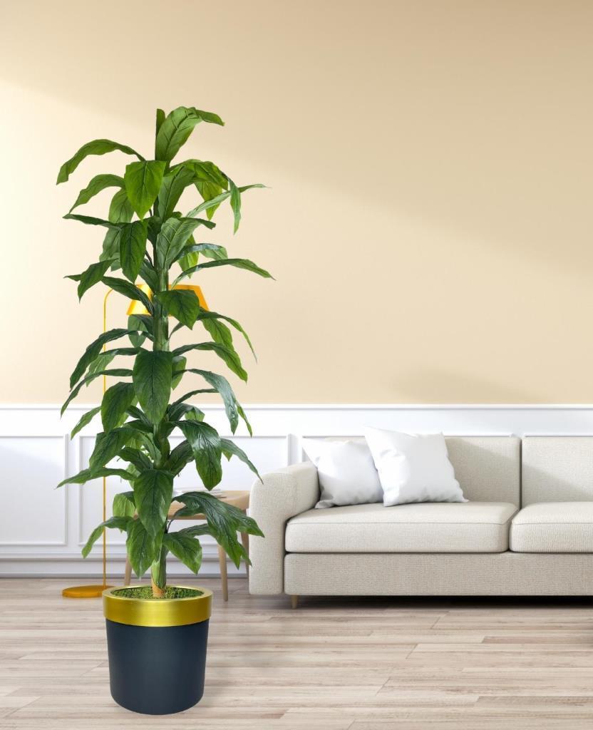 Yapay Ağaç Yukka Dracena 180*70cm Galvaniz Gold Kemerli Siyah Saksıda Salon Çiçeği Yapay Çiçek