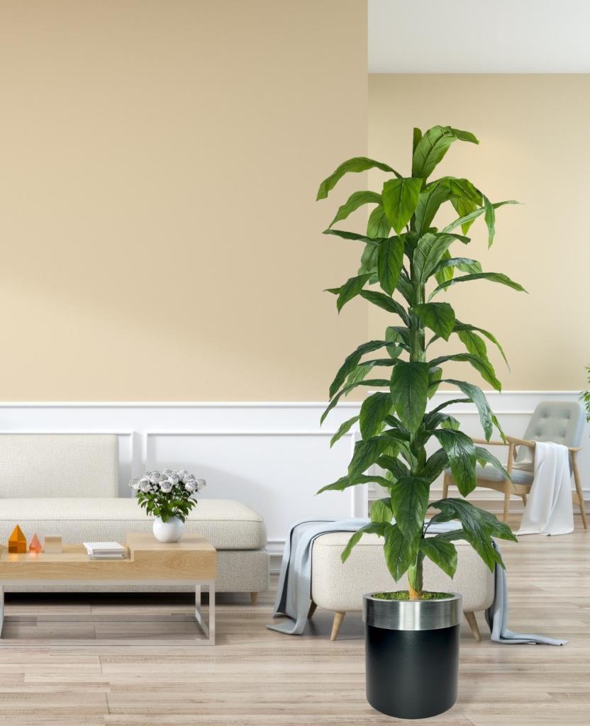 Yapay Ağaç Yukka Dracena 180*70cm Galvaniz Gümüş Kemerli Siyah Saksıda Salon Çiçeği Yapay Çiçek