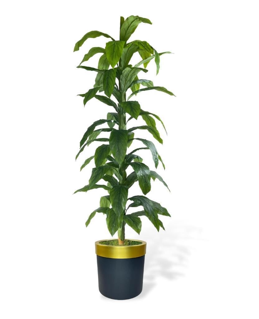 Yapay Ağaç Yukka Dracena 180*70cm Galvaniz Gold Kemerli Siyah Saksıda Salon Çiçeği Yapay Çiçek