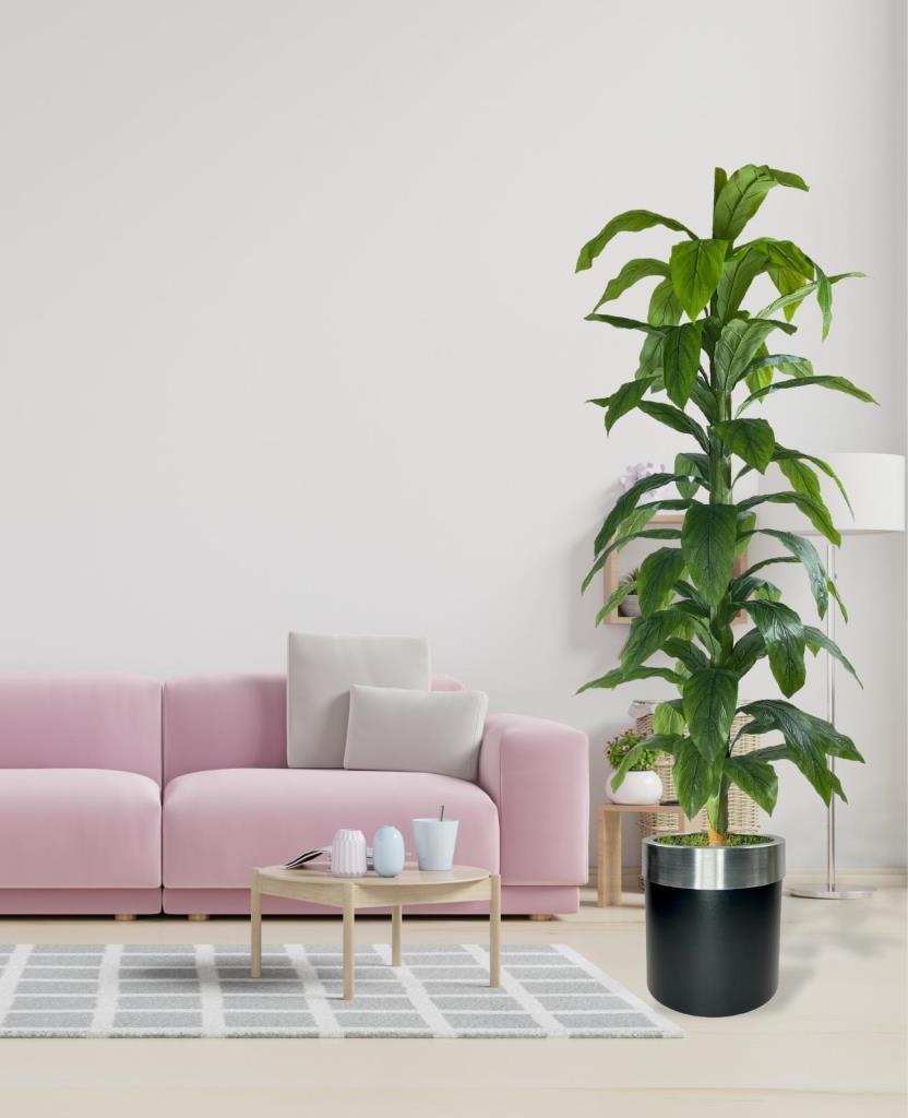 Yapay Ağaç Yukka Dracena 180*70cm Galvaniz Gümüş Kemerli Siyah Saksıda Salon Çiçeği Yapay Çiçek
