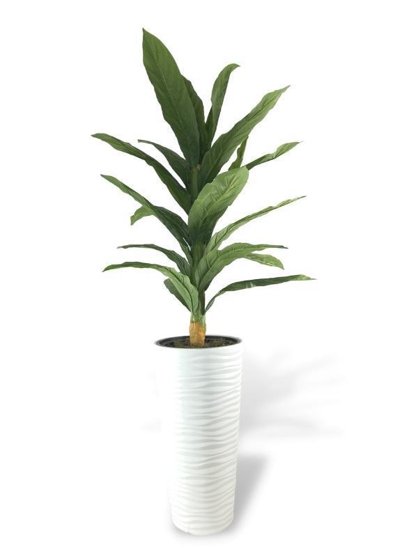 Yapay Ağaç Yukka Kılıç Çiçeği Beyaz Kumsal Vazoda 155*70