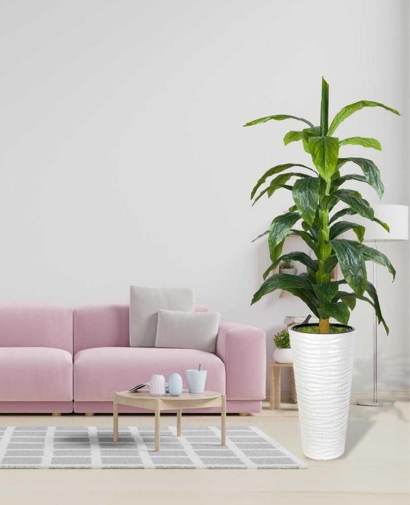 Yapay Ağaç Yukka Kılıç Çiçeği Beyaz Kumsal Vazoda 185*70 35 Yaprak