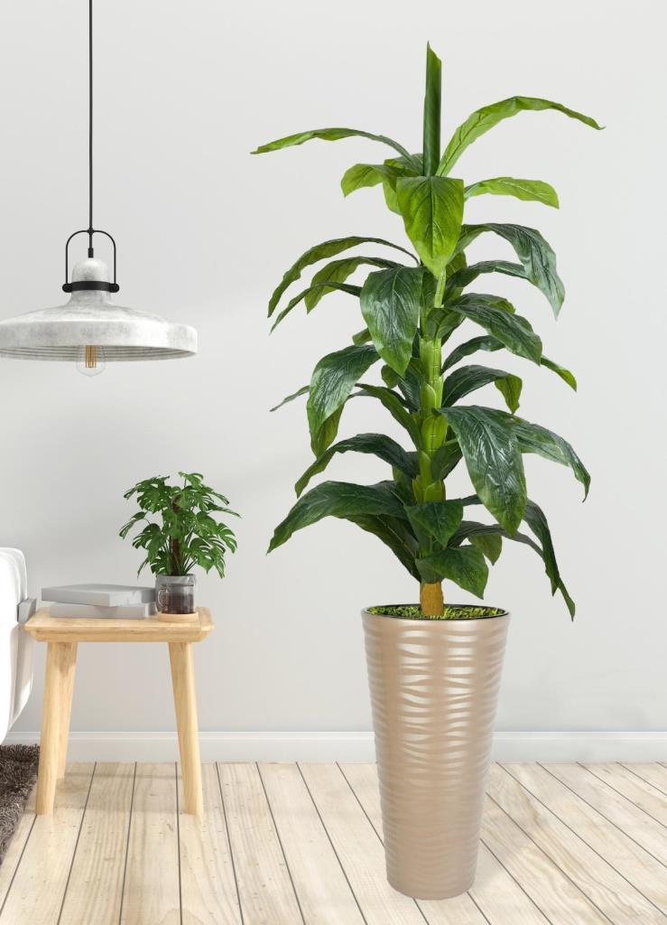 Yapay Ağaç Yukka Kılıç Çiçeği Dore Kumsal Vazoda 185*70 35 Yaprak