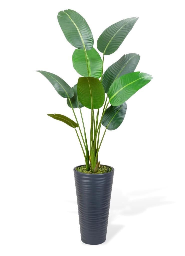 Yapay Ağacı Antrasit 57cm Uzun Kumsal Vazoda Muz Ağacı Yapay Starliçe 195cm 10 Yaprak