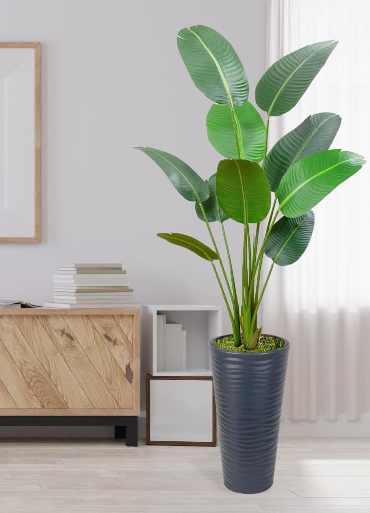 Yapay Ağacı Antrasit 57cm Uzun Kumsal Vazoda Muz Ağacı Yapay Starliçe 195cm 10 Yaprak