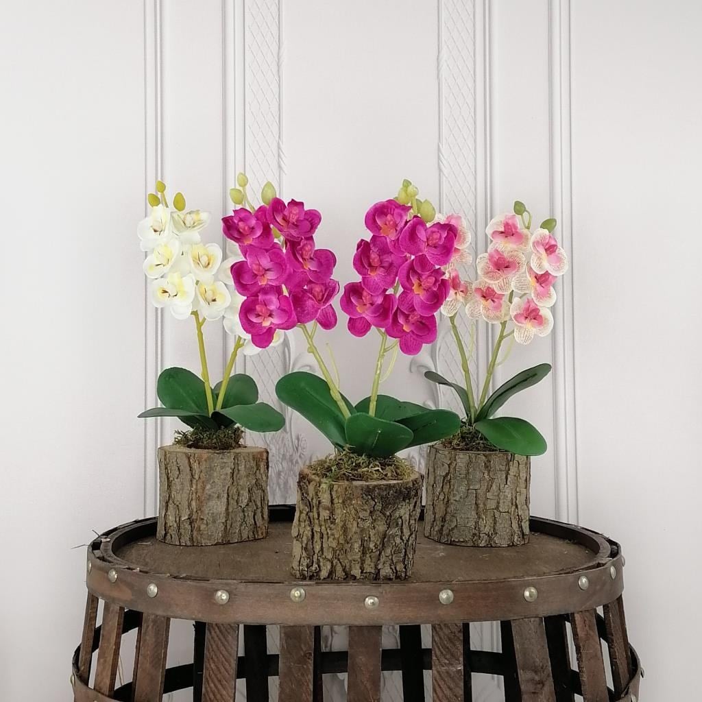 Yapay Ahşap Kütük Saksılı Mini Orkide 3 lü Set Dekoratif Hediye