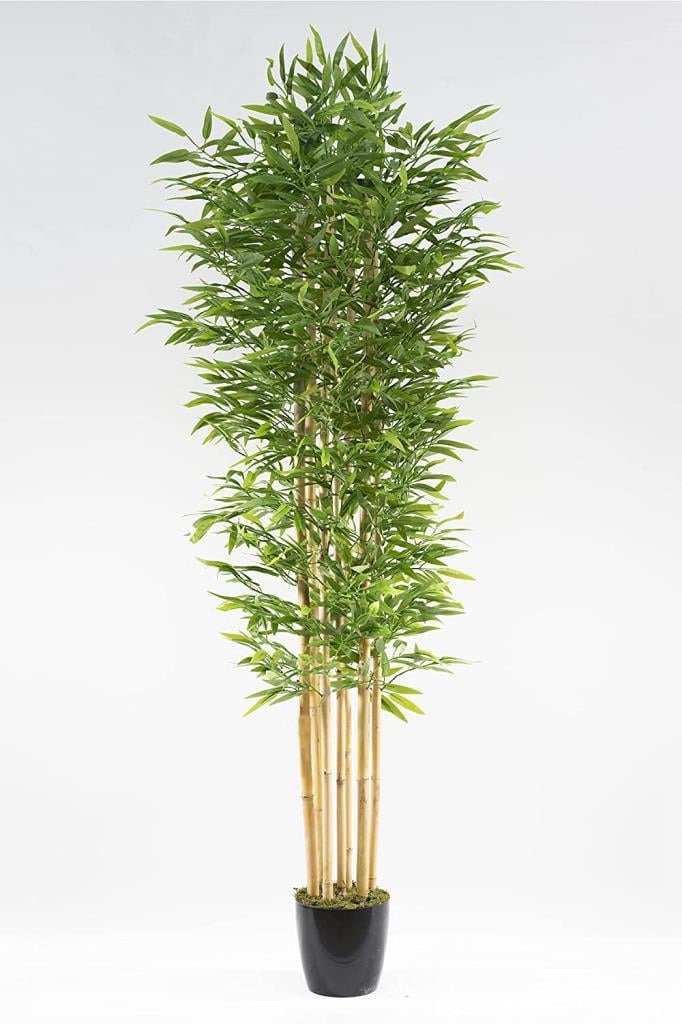 Yapay Bambu Ağacı 210cm Siyah Saksılı 7 dallı