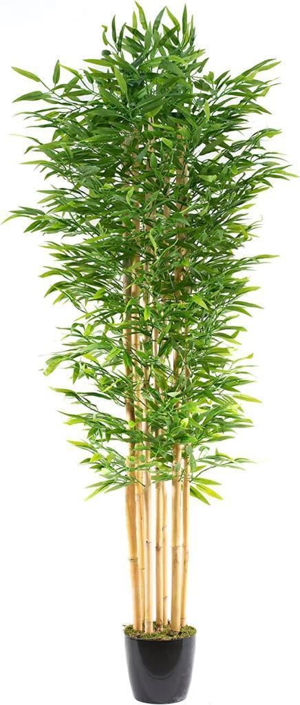 Yapay Bambu Ağacı 210cm Siyah Saksılı 7 dallı