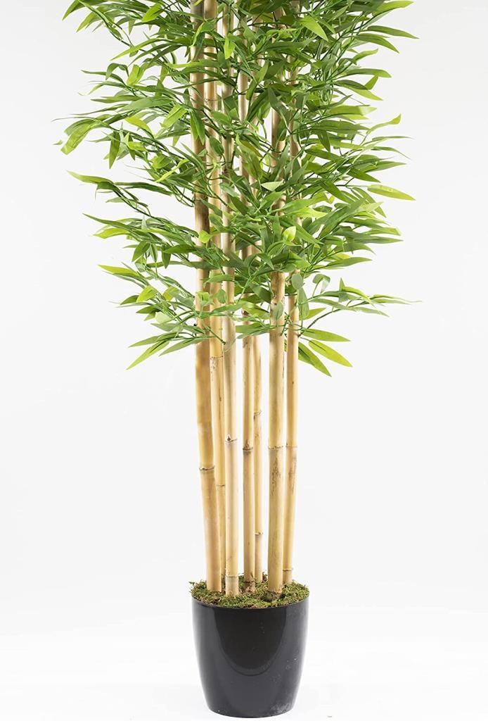 Yapay Bambu Ağacı 210cm Siyah Saksılı 7 dallı