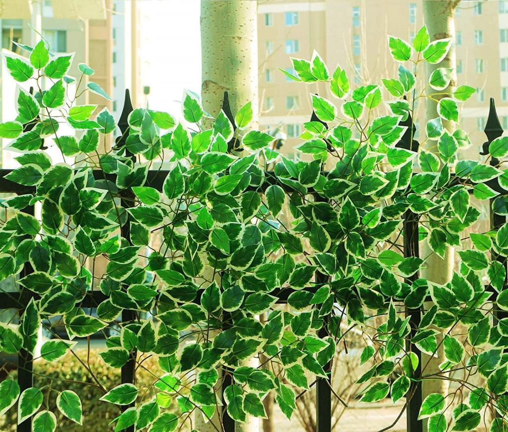 Yapay Çiçek 12 Adet Benjamin Yaprağı Yeşil Beyaz Ağaç Yaprağı