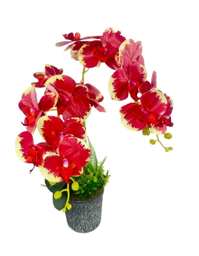 Yapay Çiçek 2li Kırmızı Krem Islak Orkide Seramik Saksıda Orkide 60cm