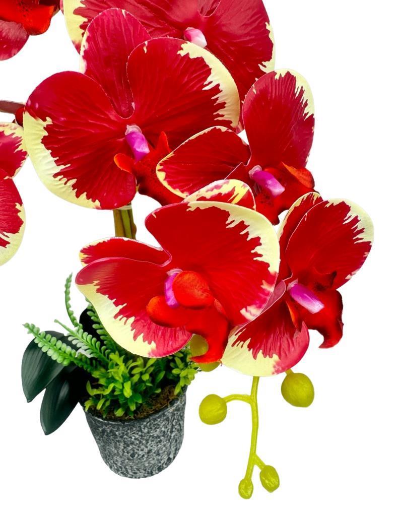 Yapay Çiçek 2li Kırmızı Krem Islak Orkide Seramik Saksıda Orkide 60cm