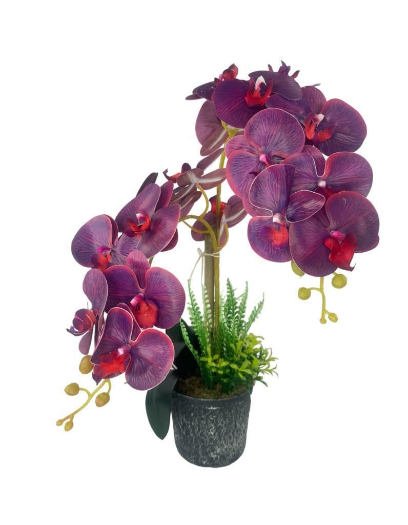 Yapay Çiçek 2li Mor Bordo Damarlı Islak Orkide Seramik Saksıda Orkide 60cm