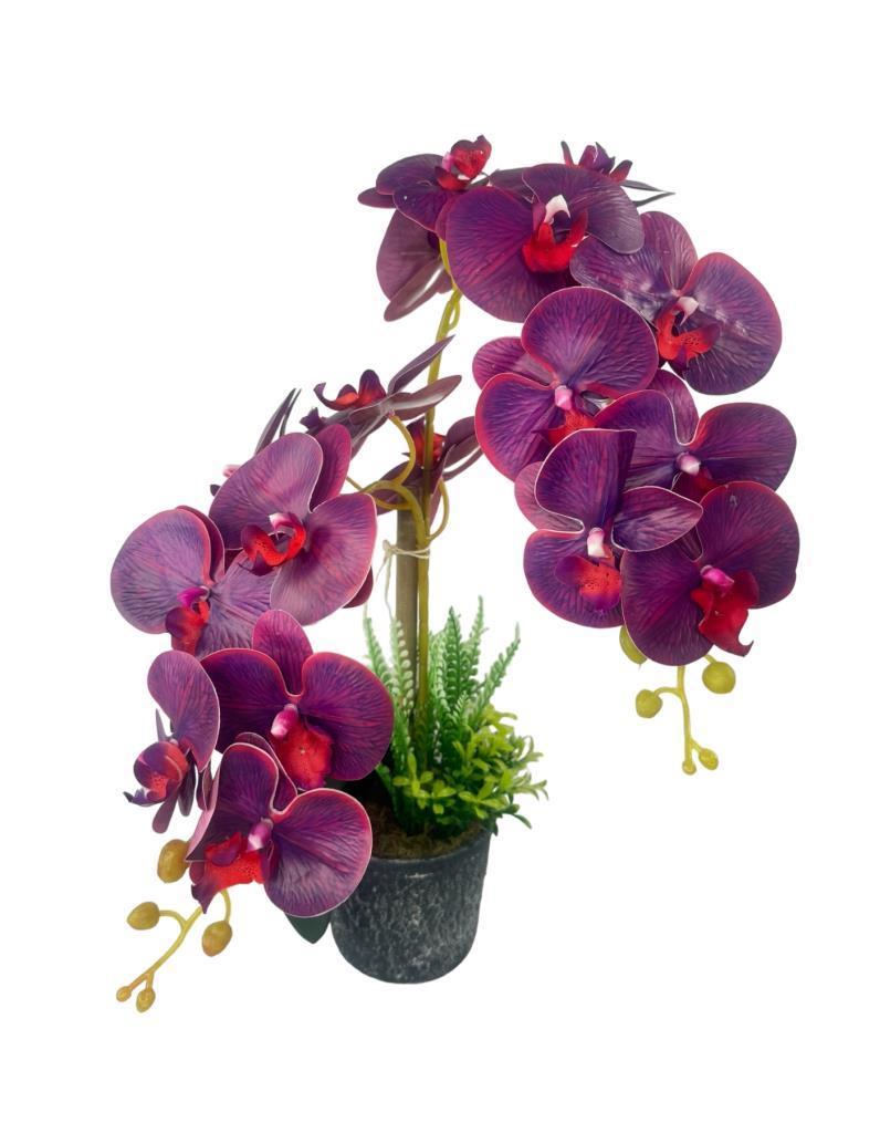 Yapay Çiçek 2li Mor Bordo Damarlı Islak Orkide Seramik Saksıda Orkide 60cm