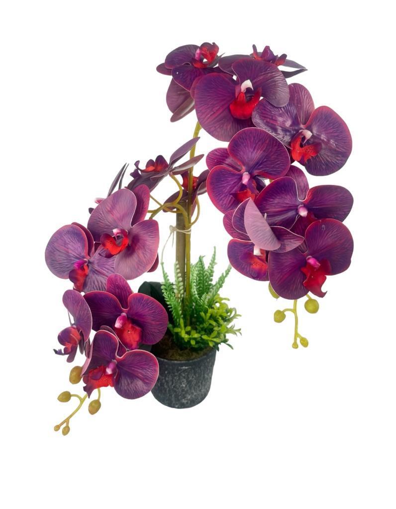 Yapay Çiçek 2li Mor Bordo Damarlı Islak Orkide Seramik Saksıda Orkide 60cm