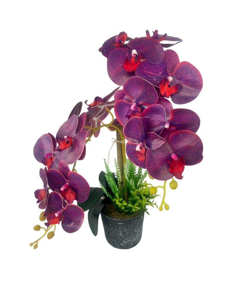 Yapay Çiçek 2li Mor Bordo Damarlı Islak Orkide Seramik Saksıda Orkide 60cm