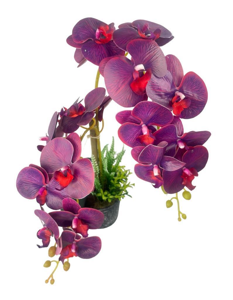 Yapay Çiçek 2li Mor Bordo Damarlı Islak Orkide Seramik Saksıda Orkide 60cm