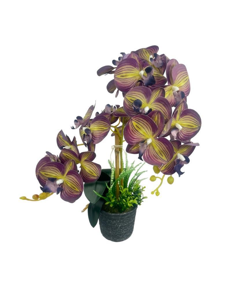Yapay Çiçek 2li Mor Sarı Çizgili Islak Orkide Seramik Saksıda Orkide 60cm