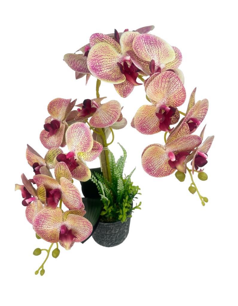 Yapay Çiçek 2li Pembe Damarlı Islak Orkide Seramik Saksıda Orkide 60cm