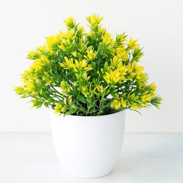 Yapay Çiçek 6 Adet Beyaz Saksıda Dolgun Plastik Mini Lotus Çiçeği Karışık Renkler 