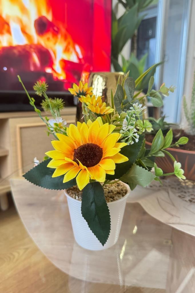 Yapay Çiçek Ay Çiçeği Aranjmanı Beyaz Plastik Saksılı 25cm Dekoratif Süs Çiçeği