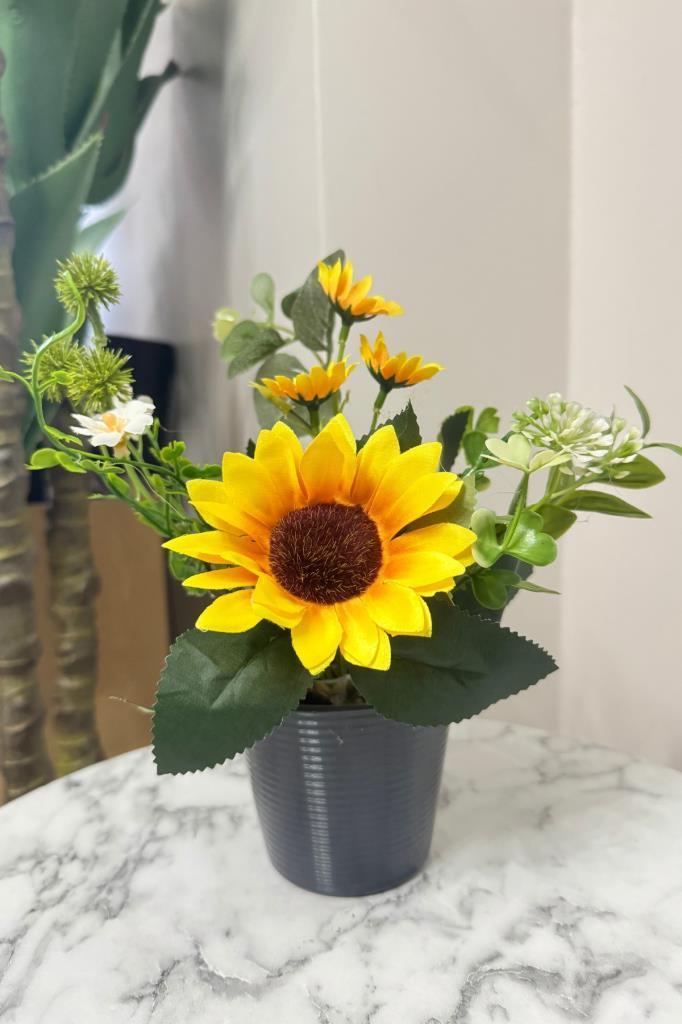 Yapay Çiçek Ay Çiçeği Aranjmanı Siyah Plastik Saksılı 25cm Dekoratif Süs Çiçeği