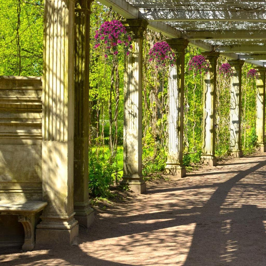 Yapay Çiçek Begonvil Çiçeği Fuşya Uzun Dallı Sarkan Çiçek 110cm