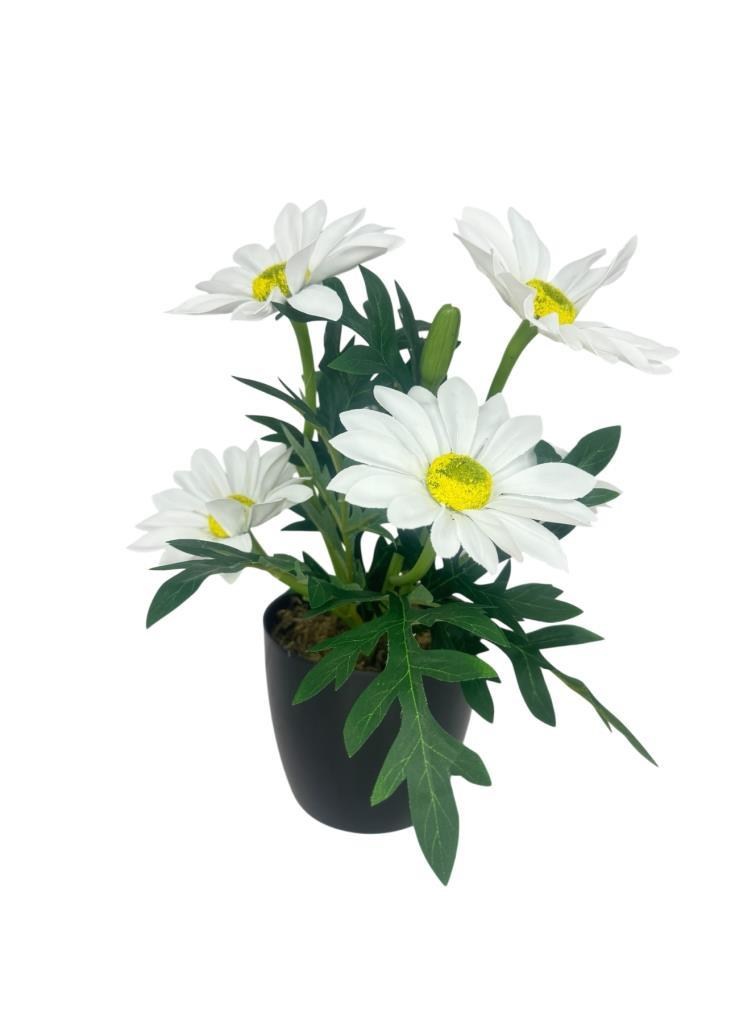 Yapay Çiçek Beyaz Margarit Papatya Siyah Saksıda Dekoratif Yapay Çiçek 30*25cm