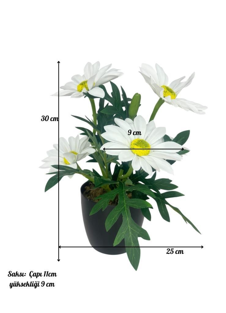 Yapay Çiçek Beyaz Margarit Papatya Siyah Saksıda Dekoratif Yapay Çiçek 30*25cm