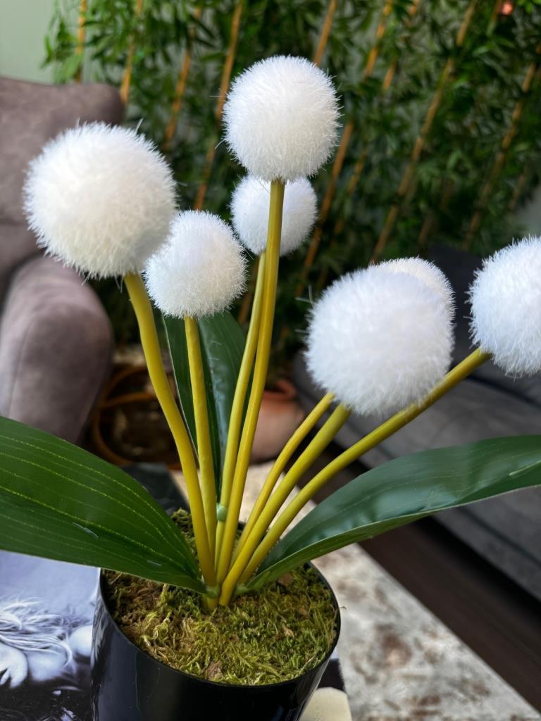 Yapay Çiçek Beyaz Pompon Siyah Saksıda Dekoratif Yapay Çiçek 30*20cm
