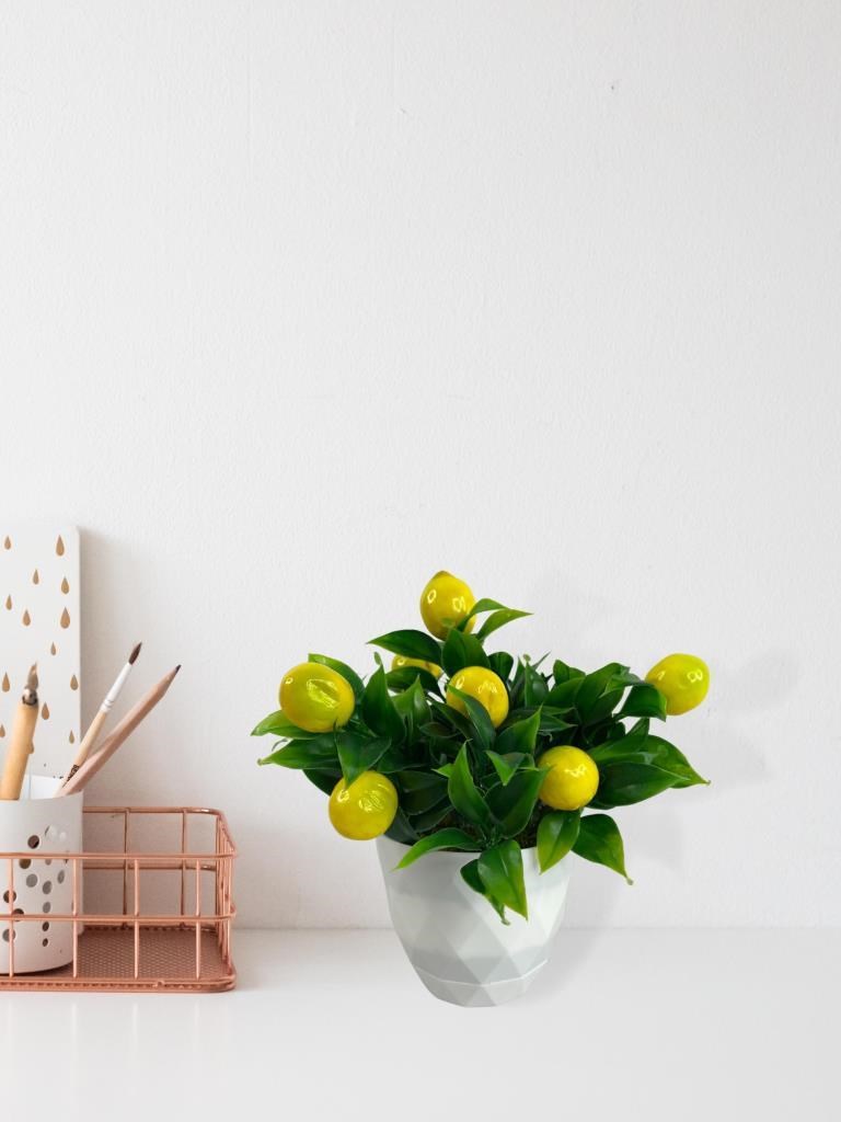 Yapay Çiçek Beyaz Saksıda Limon Dekoratif Masa Çiçeği 25cm