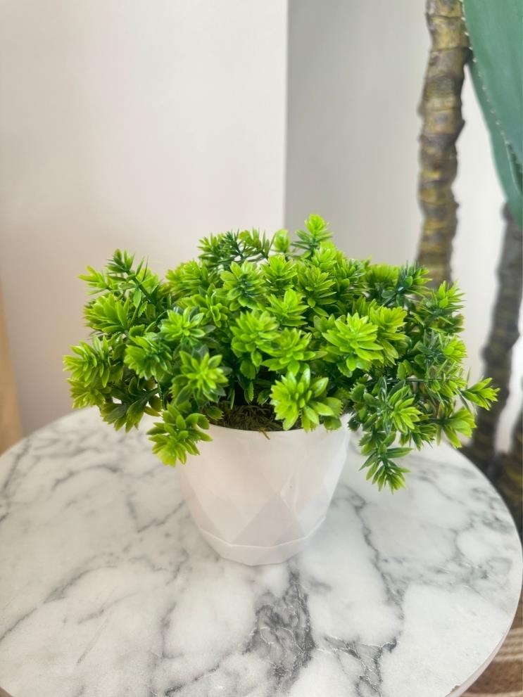 Yapay Çiçek Beyaz Saksıda Lotus Dekoratif Masa Çiçeği 15cm