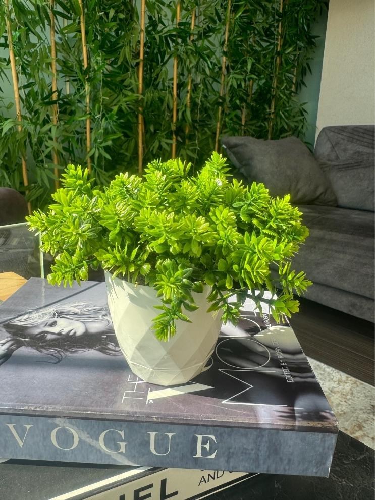 Yapay Çiçek Beyaz Saksıda Lotus Dekoratif Masa Çiçeği 15cm