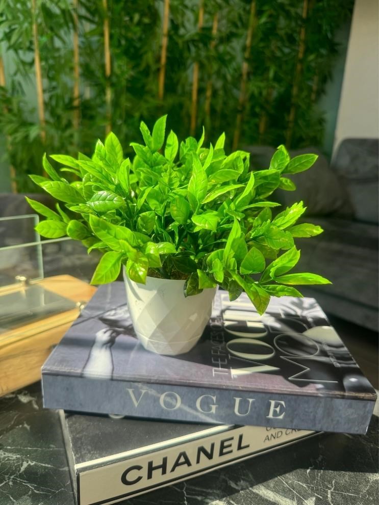 Yapay Çiçek Beyaz Saksıda Nane Dekoratif Masa Çiçeği 25cm