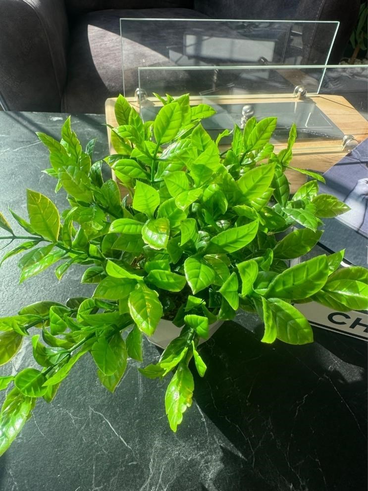 Yapay Çiçek Beyaz Saksıda Nane Dekoratif Masa Çiçeği 25cm