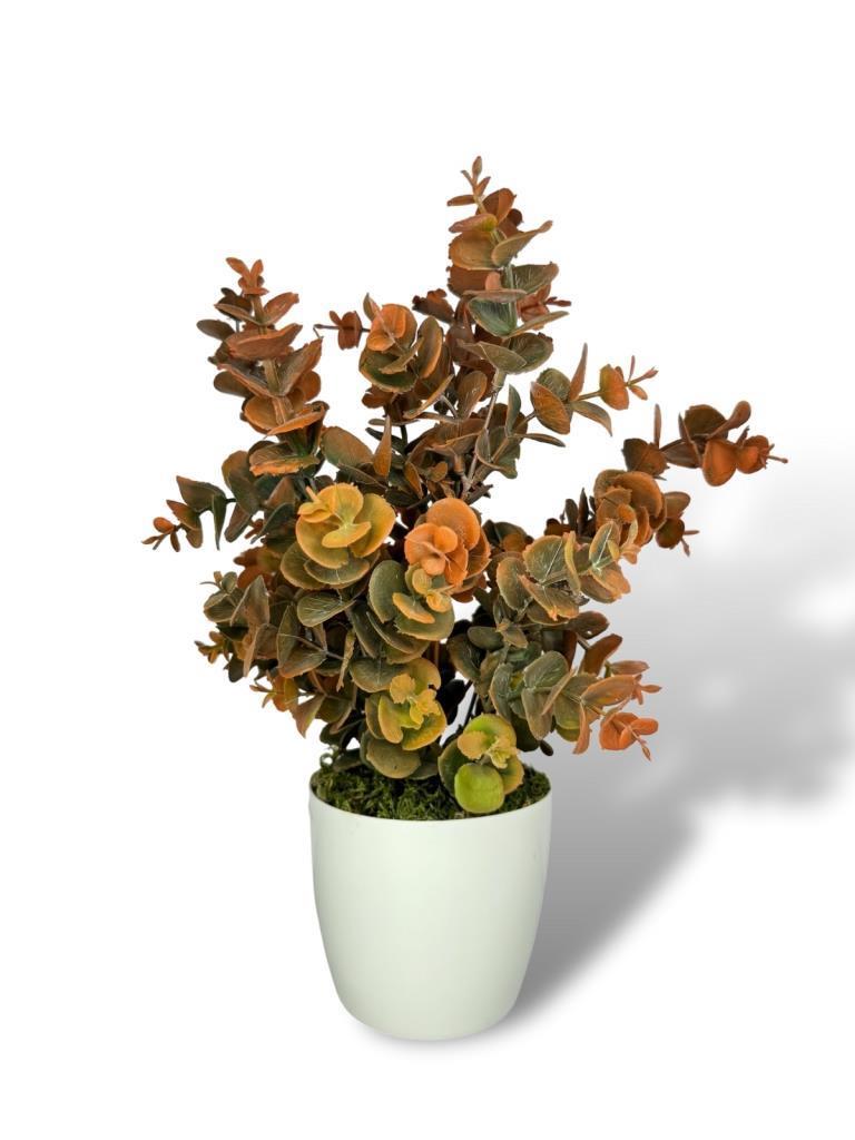 Yapay Çiçek Beyaz Saksıda Okaliptus Şimşir Demeti Pudralı Pastel Turuncu Dekoratif Yapay Bitki