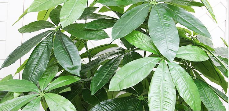 Yapay Çiçek Demet Şeflera Bitkisi 18Dal 75cm Salon Çiçeği Yapay Bitki Pachira Macrocarpa