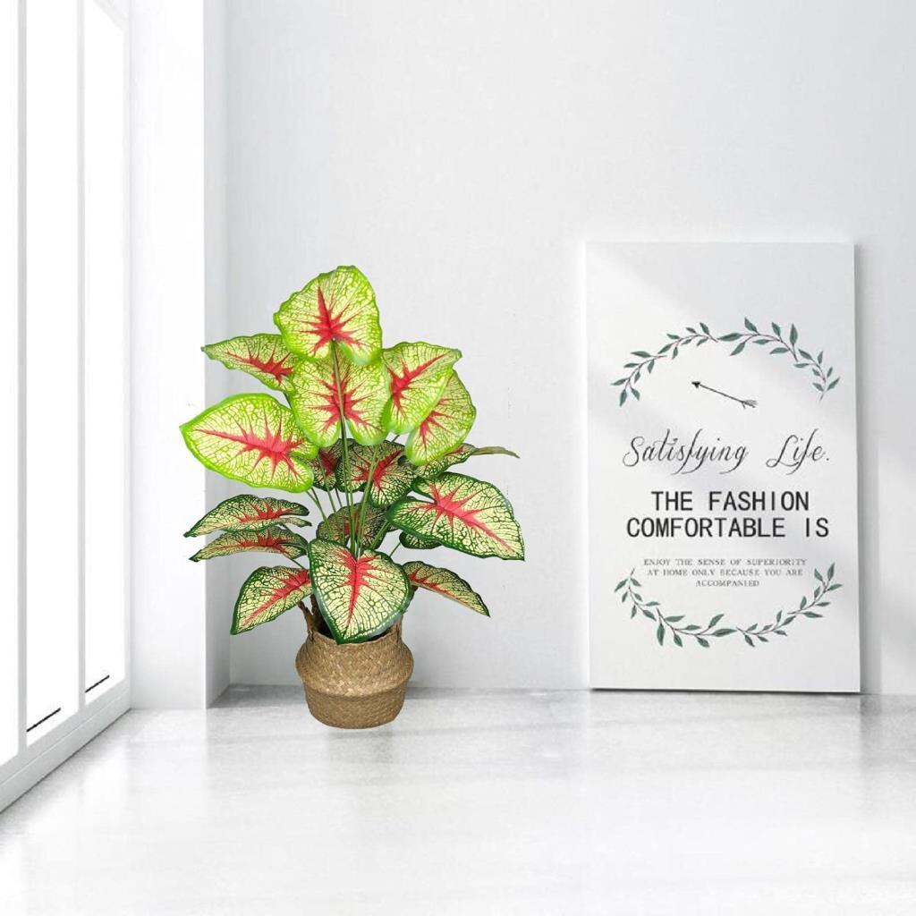 Yapay Çiçek Demet Tropik Kızıl Caladium 18 Dal 70 cm Salon Çiçeği Yapay Bitki