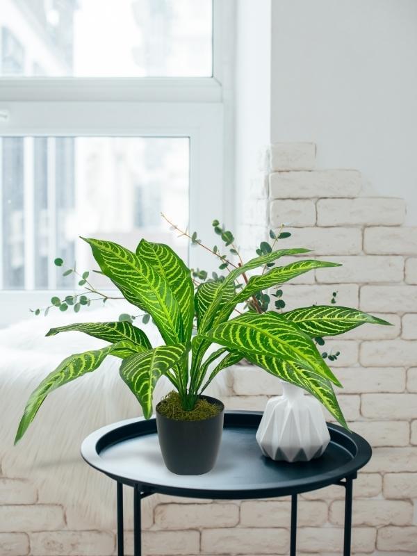 Yapay Çiçek Drecana Yukka 12yaprak Salon Çiçeği Plastik Siyah Saksılı Yapay Bitki