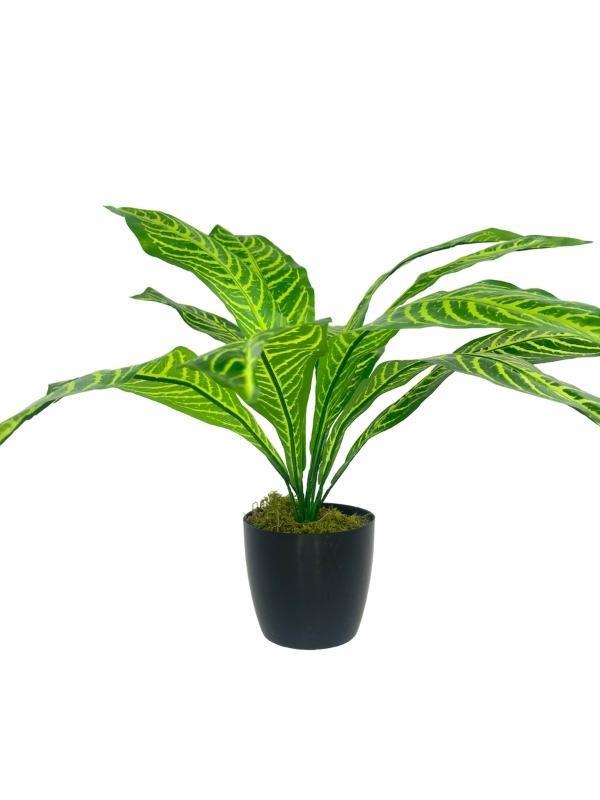 Yapay Çiçek Drecana Yukka 12yaprak Salon Çiçeği Plastik Siyah Saksılı Yapay Bitki