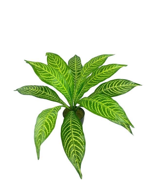 Yapay Çiçek Drecana Yukka 12yaprak Salon Çiçeği Plastik Siyah Saksılı Yapay Bitki