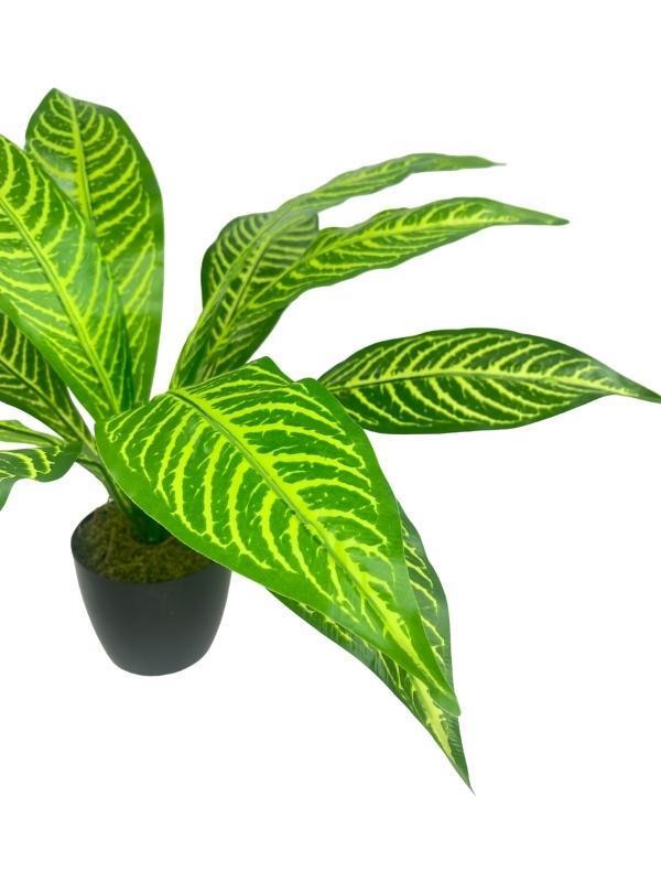 Yapay Çiçek Drecana Yukka 12yaprak Salon Çiçeği Plastik Siyah Saksılı Yapay Bitki