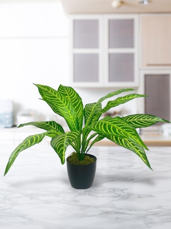 Yapay Çiçek Drecana Yukka 12yaprak Salon Çiçeği Plastik Siyah Saksılı Yapay Bitki