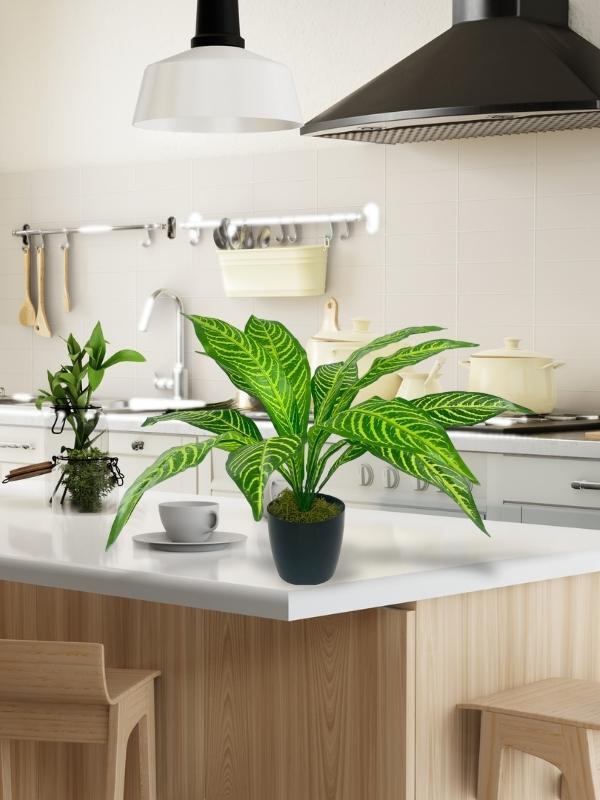 Yapay Çiçek Drecana Yukka 12yaprak Salon Çiçeği Plastik Siyah Saksılı Yapay Bitki