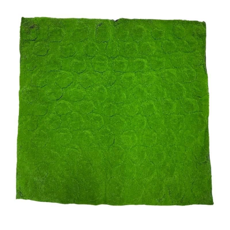 Yapay Çiçek Duvar Kaplama Yosun Paneli 1M2 100*100CM Moss Dik Duvar Uygulama