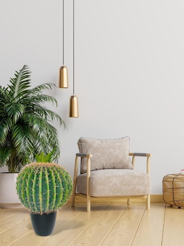 Yapay Çiçek Echinocactus Grusonii Altın Fıçı Kaktüs Siyah Saksıda 50*35cm Cactüs  sk4011s